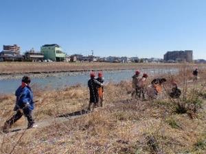 野鳥観察と浅川清掃