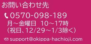 問い合わせ先