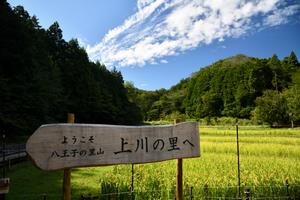 kamikawanosato