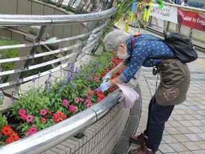 八王子駅北口花壇