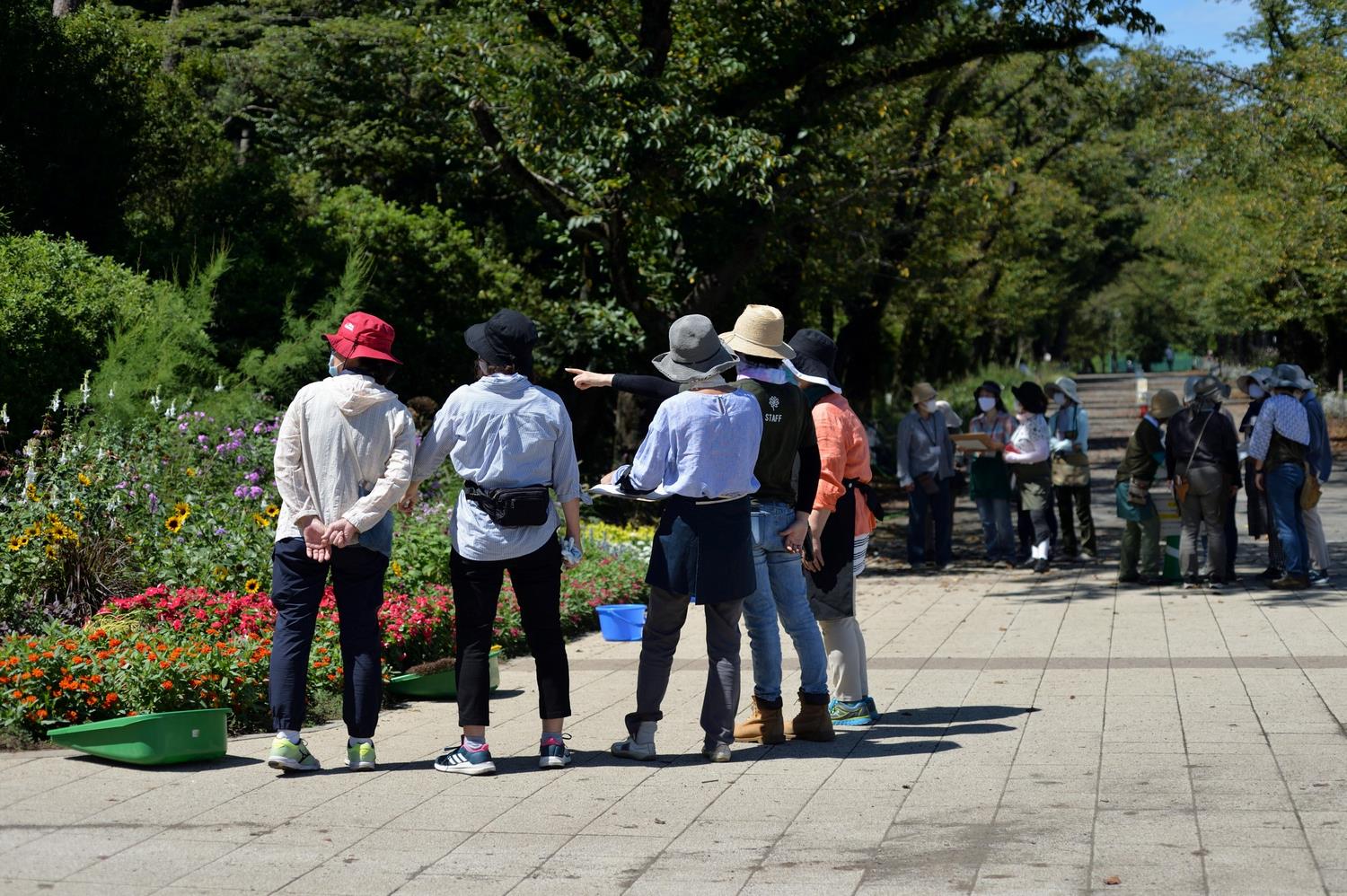 花壇調査の様子2