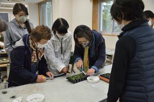 プラグトレー苗の間引き実習の様子（1）