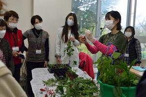 さし芽実習の様子　2