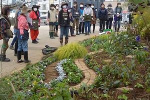 植え付け終了時の花壇の様子　1