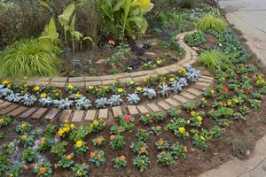 植え付け終了時の花壇の様子　2