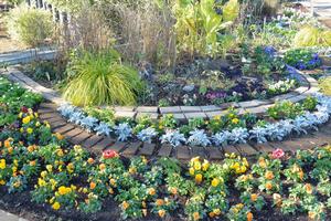 メンテナンス後の花壇の様子