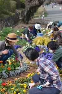 花壇メンテナンスの様子1