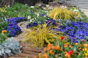 メンテナンス後の花壇の様子2