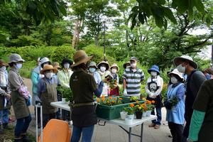 植え付けテストの様子