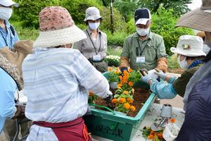 植え付けテストの様子