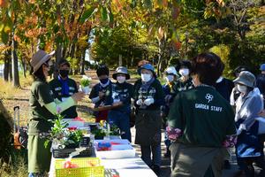 一年草と球根の植え付けの様子