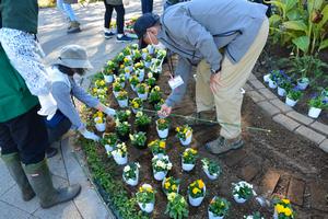 一年草と球根の植え付けの様子