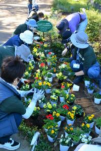 一年草と球根の植え付けの様子