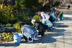 実習花壇のメンテナンスの様子