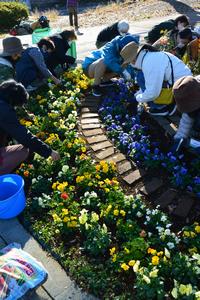 実習花壇のメンテナンスの様子