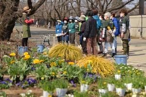 花壇メンテナンスの様子