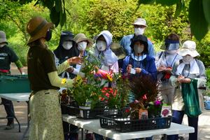 花苗植え付けの様子