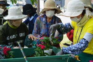 花苗植え付けの様子