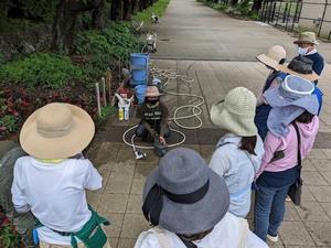 花壇のメンテナンスの様子