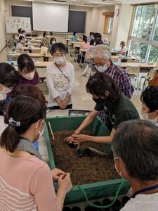 苗のポット上げの様子