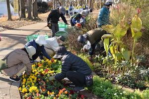 花壇メンテナンスの様子