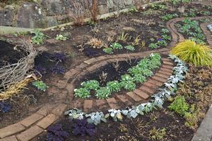 メンテナンス後の花壇の様子