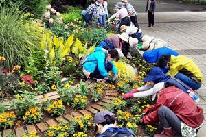 花壇メンテナンス実習の様子