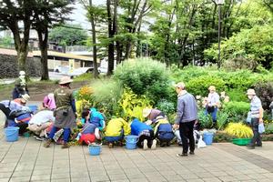 花壇メンテナンス実習の様子