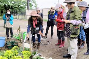 水やり実習の様子