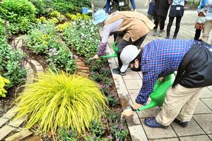 水やり実習の様子