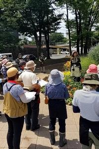 花壇環境調査の様子