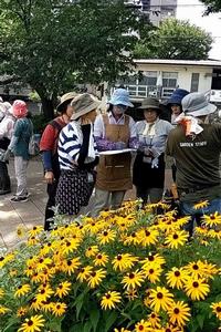 花壇環境調査の様子