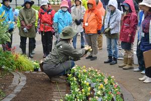 花苗植え付けの様子