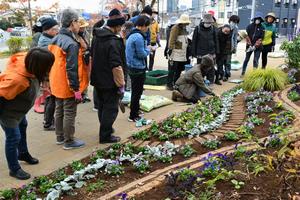 花苗植え付けの様子