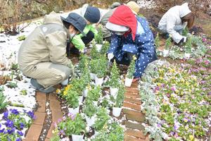 花壇メンテナンスの様子