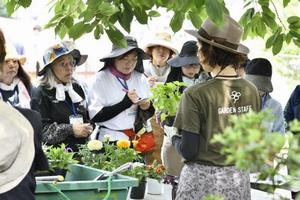 植付けの説明