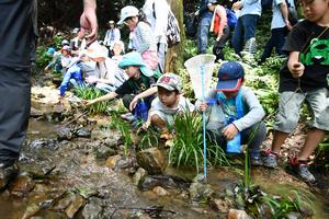 上川の里(2)