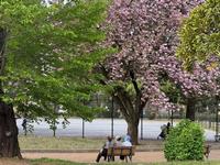 子安公園2