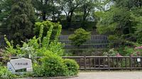 六本杉公園1