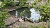 六本杉公園3