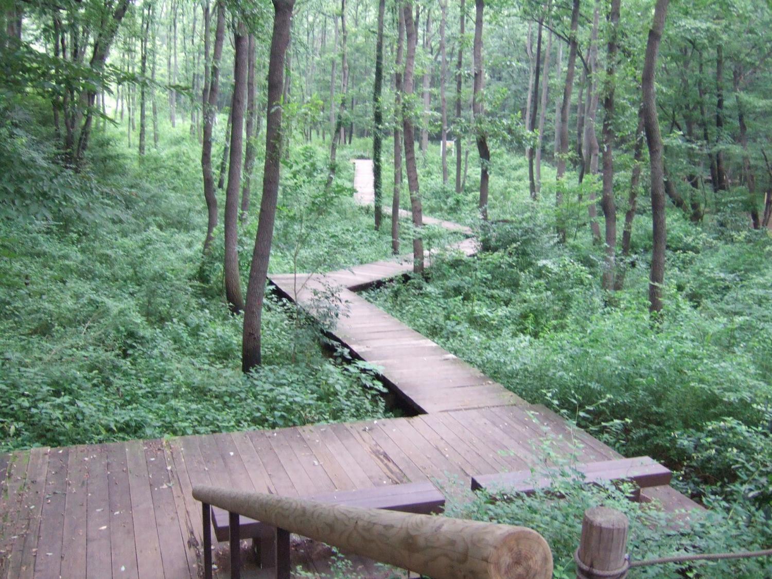 mokudou