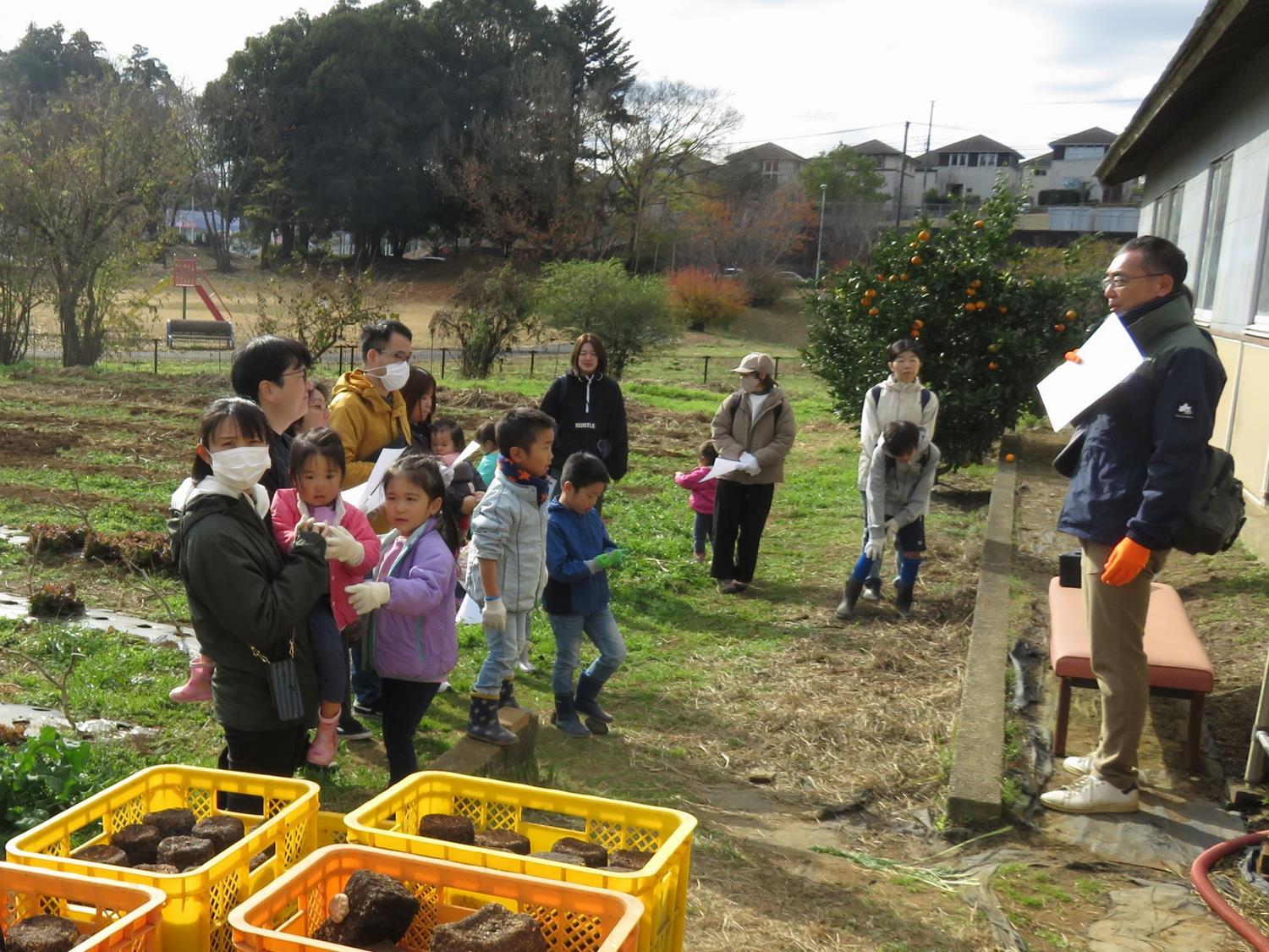 グリンガーラ(5)