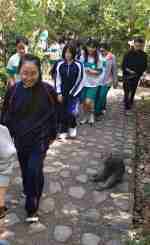 マカク猿探し　Lily