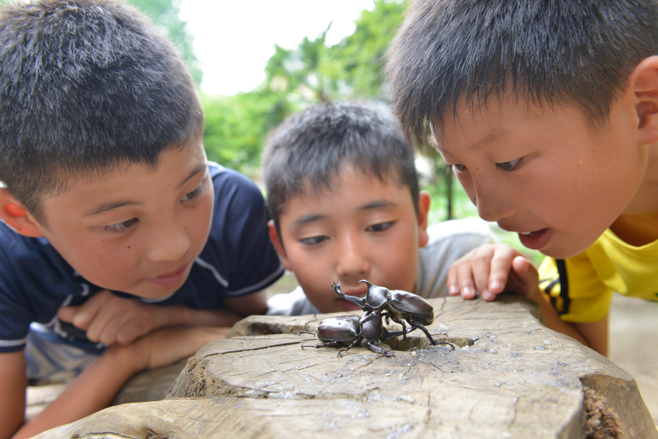豊かな自然の中でのびのび子育て