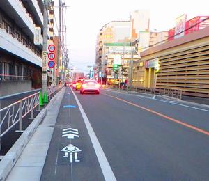 万葉けやき通り