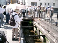 子安町水路