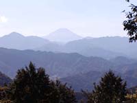 山頂からの富士山