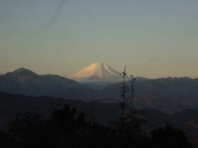 高尾山山頂から見た富士山