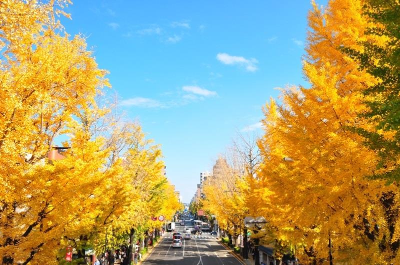 甲州街道（一般国道20号）の写真