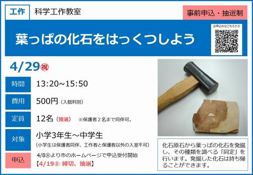 0429‗葉っぱの化石